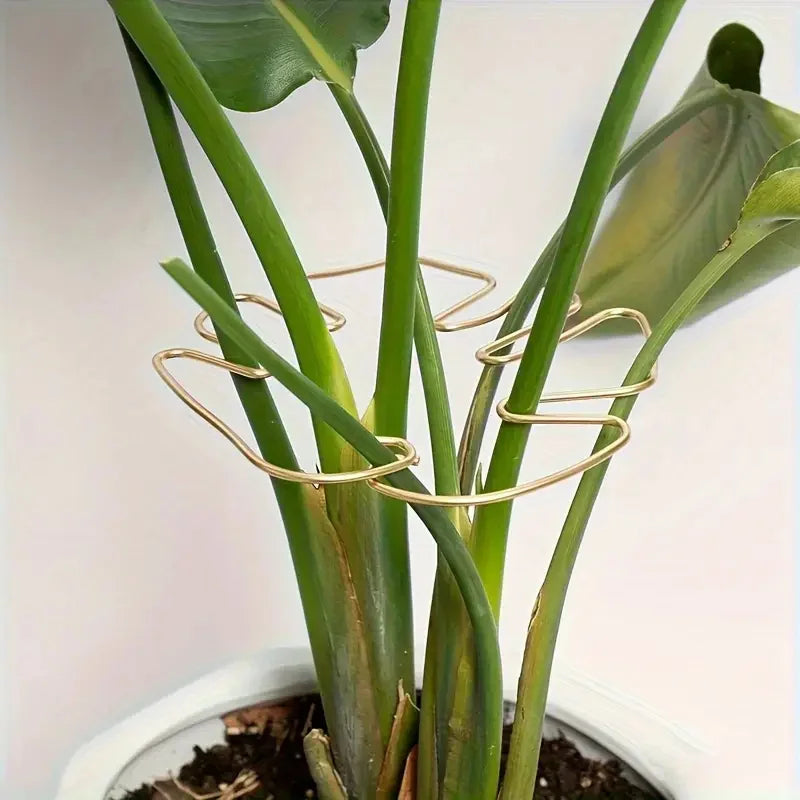 Plant Support Ring Hooks