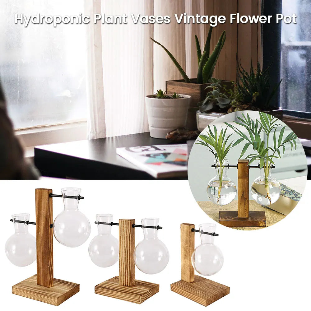 Glass Propagation Vase Stand
