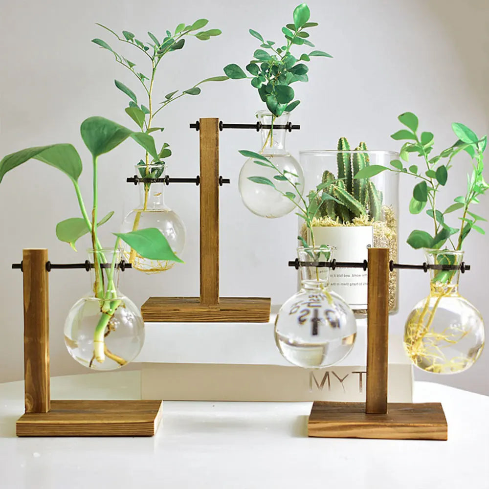 Glass Propagation Vase Stand