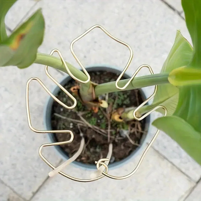 Plant Support Ring Hooks