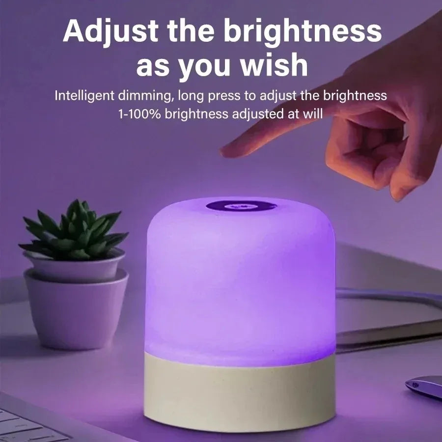 Dimmable Touch Bedside Lamp