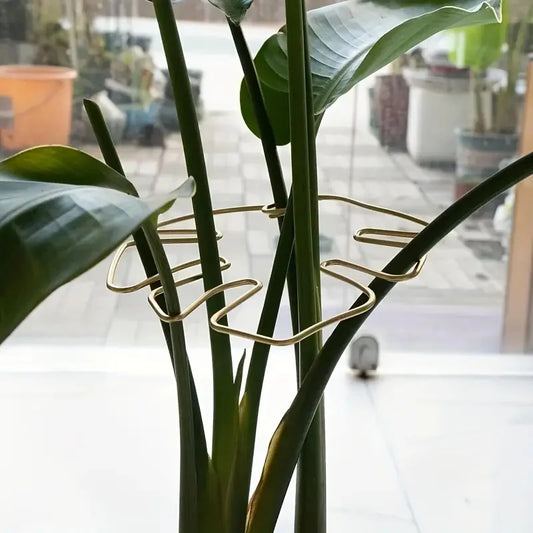 Plant Support Ring Hooks