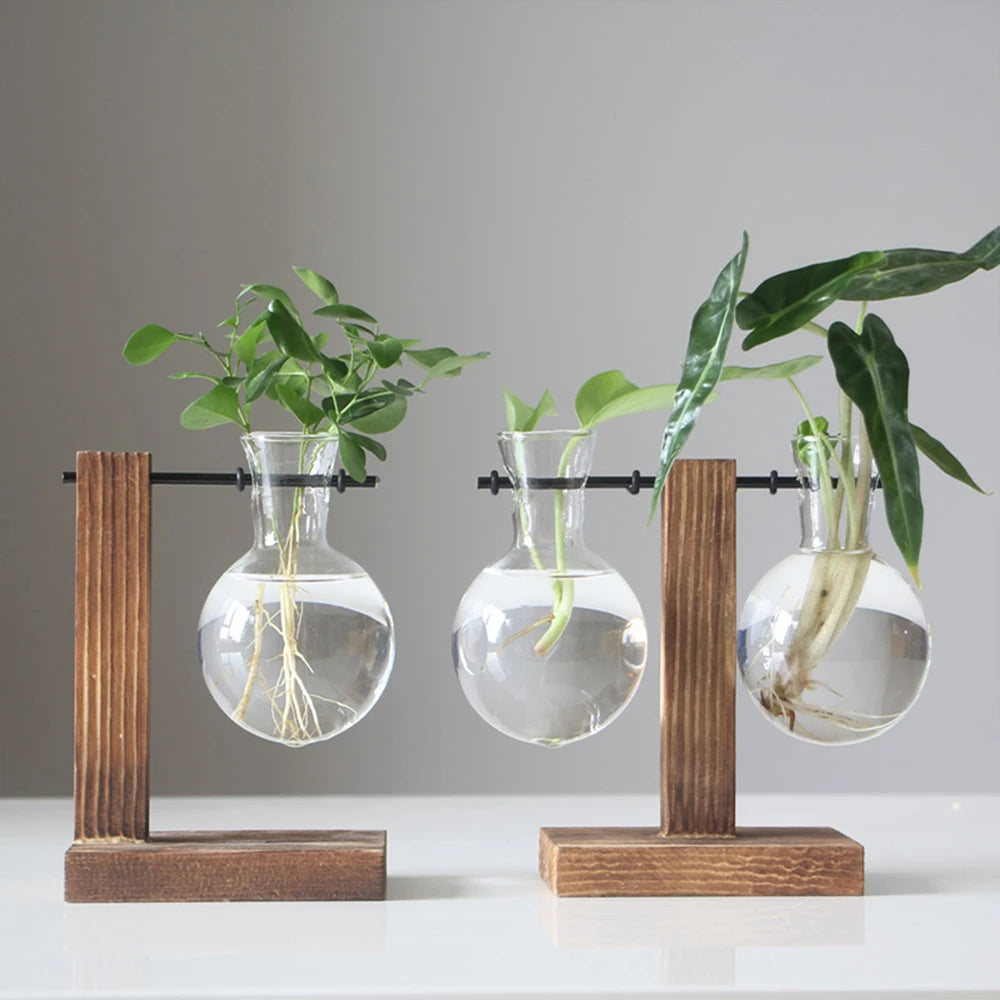 Glass Propagation Vase Stand