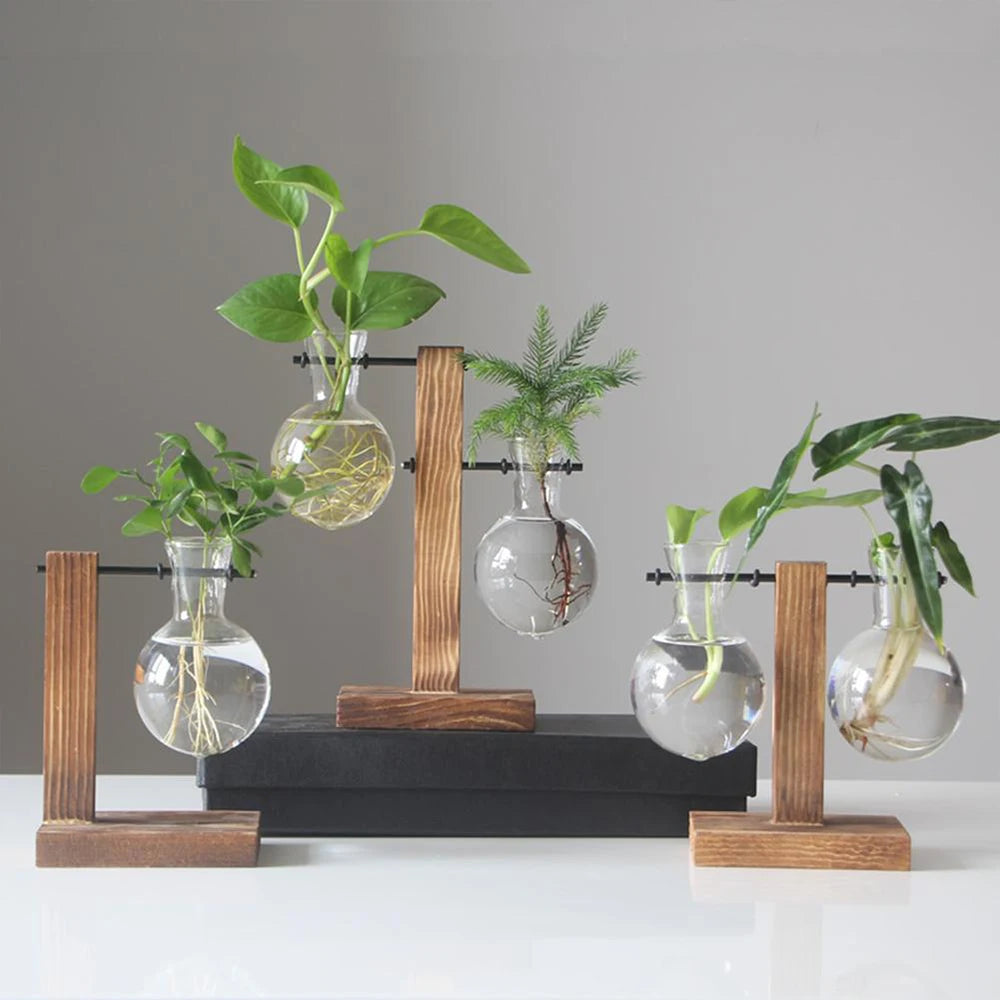 Glass Propagation Vase Stand