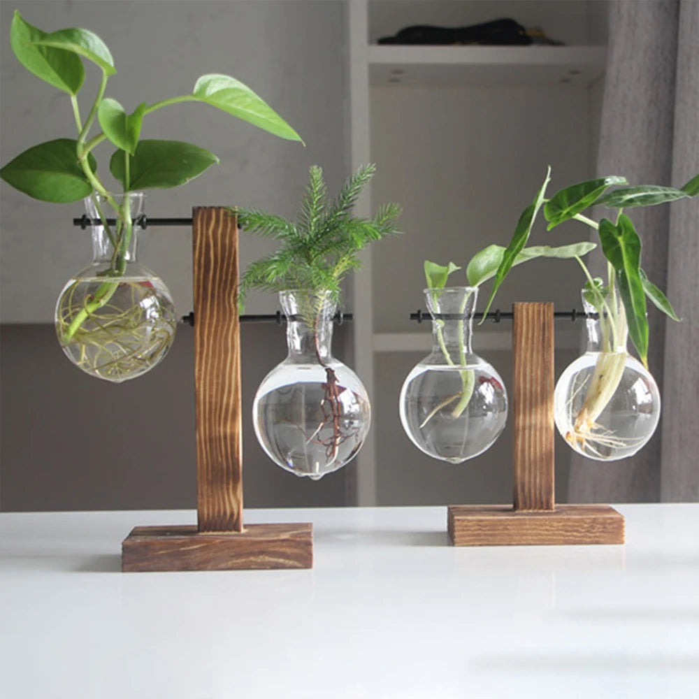 Glass Propagation Vase Stand