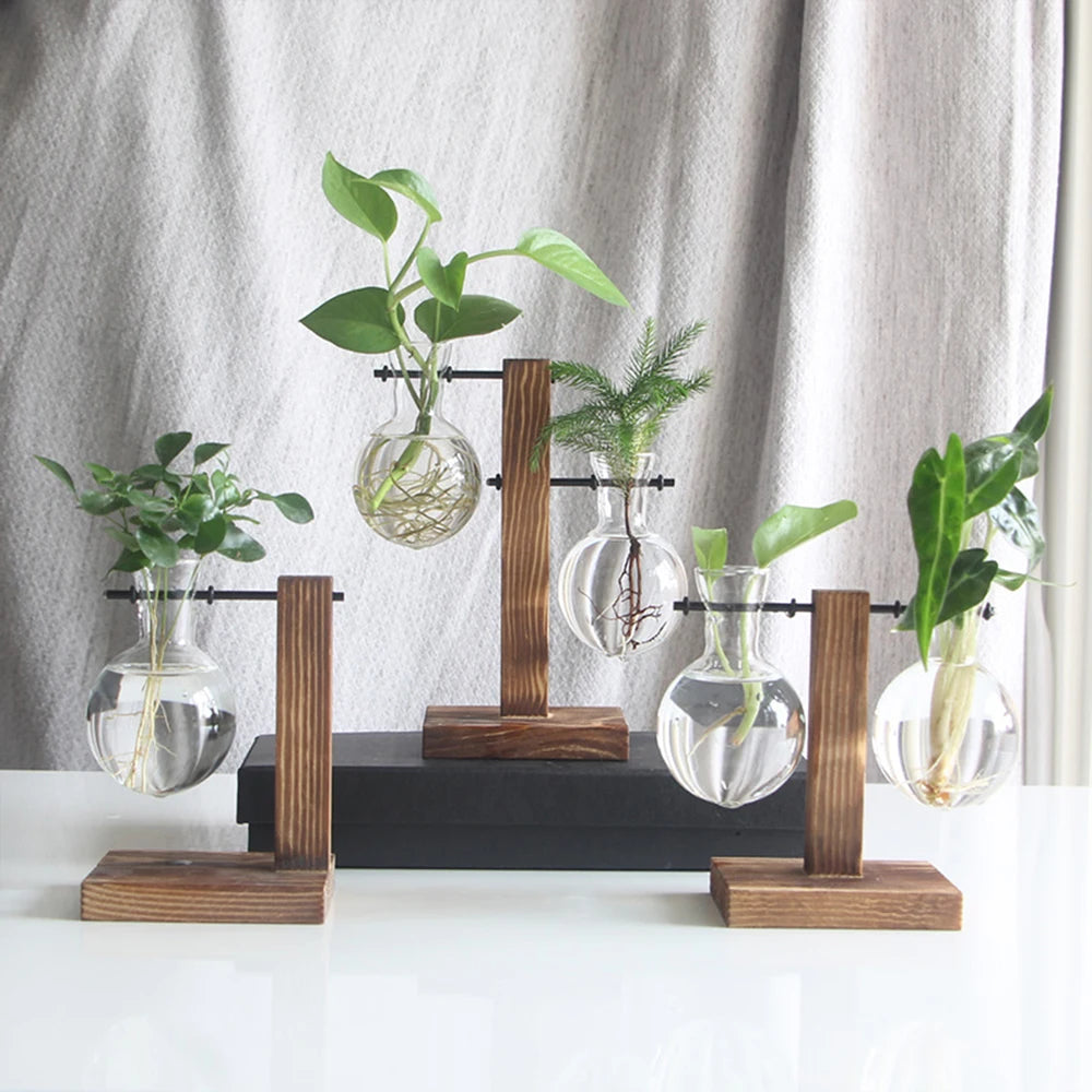 Glass Propagation Vase Stand