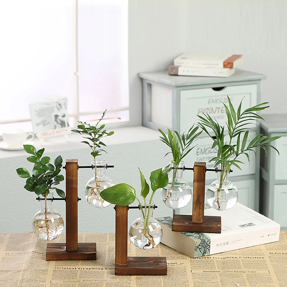 Glass Propagation Vase Stand