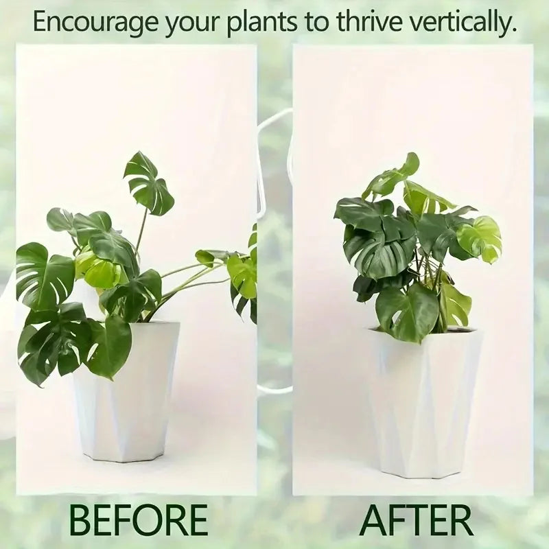 Plant Support Ring Hooks
