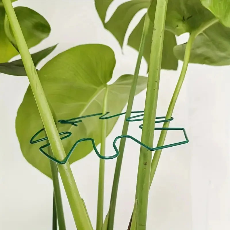 Plant Support Ring Hooks